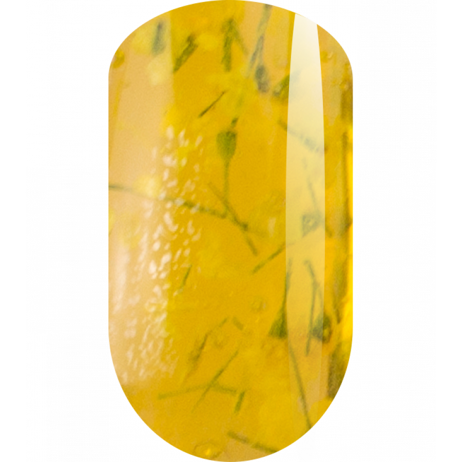 Ta2 Гель моделирующий Botanic Yellow (5 г)*