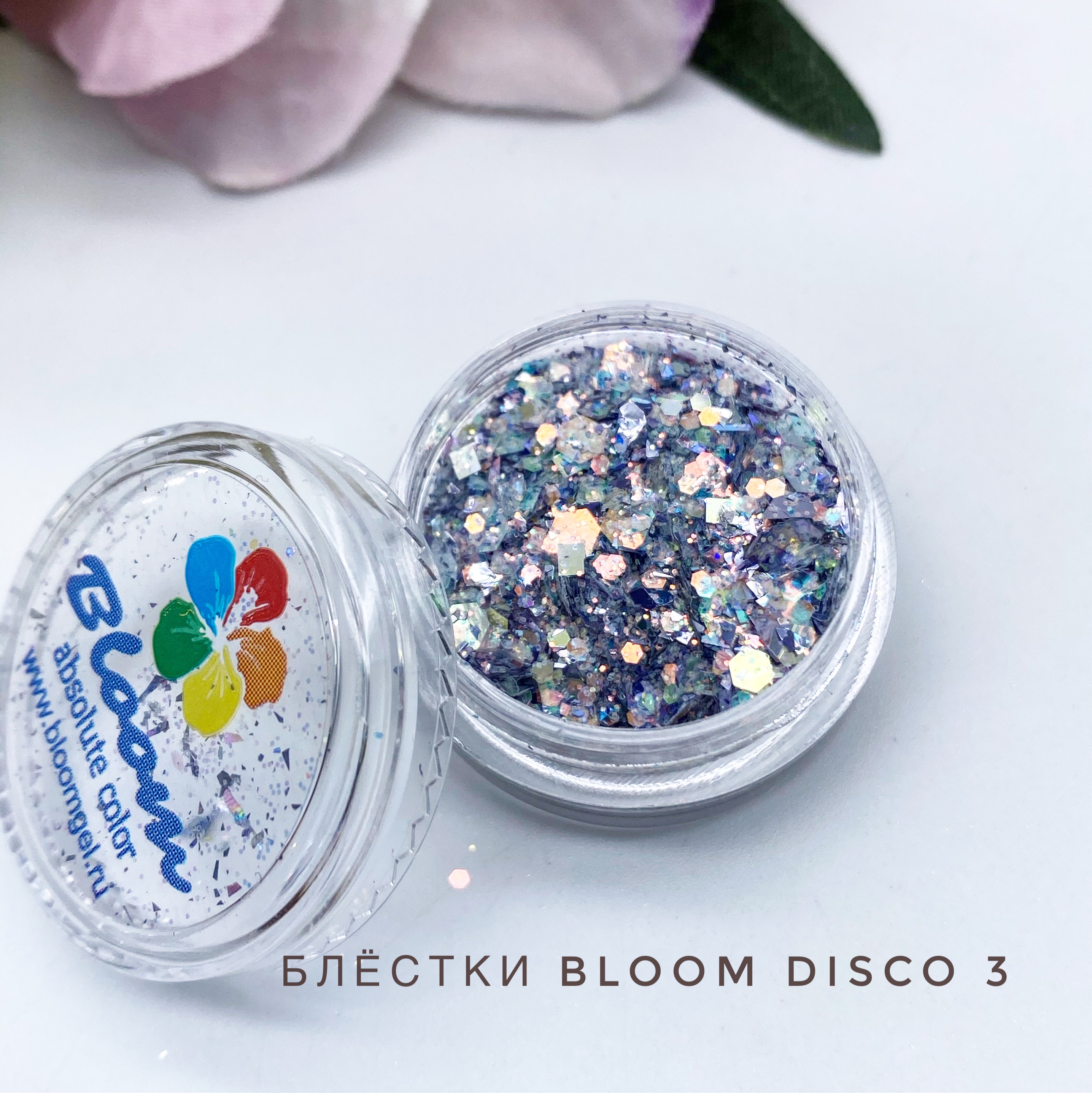 Bloom  Disco 3