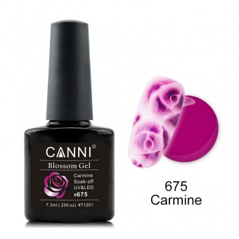 CANNI - Blossom gel/  675 (7,3 )